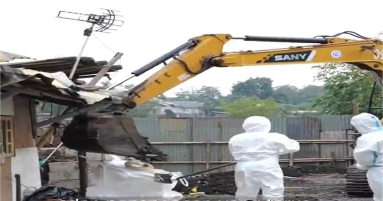 Pemkab Serang Siapkan Pemusnahan Hewan Terpapar Radioaktif di Cikande, Siapkan Ganti Rugi